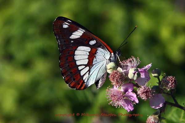 lefkada-news