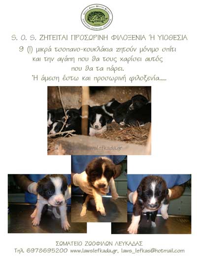 lefkada-news