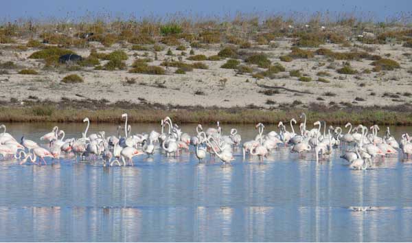 lefkada-news
