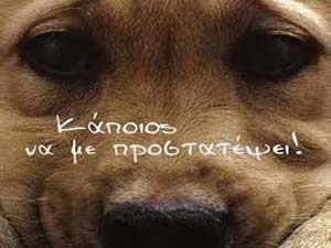 lefkada-news