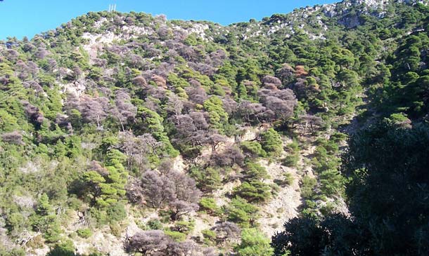 lefkada-news