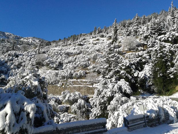 lefkada-news