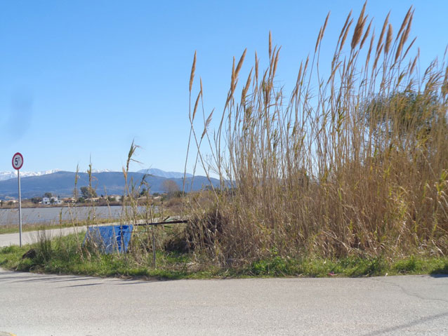 lefkada-news