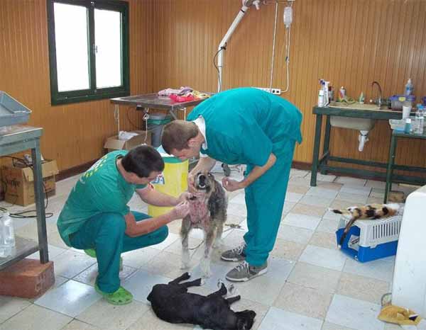 lefkada-news