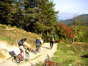 lefkada-news